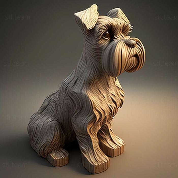 Zwergschnauzer dog